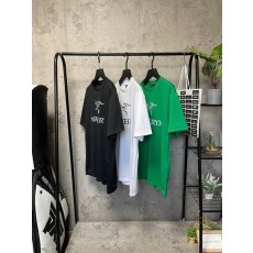 아**** 도마뱀2